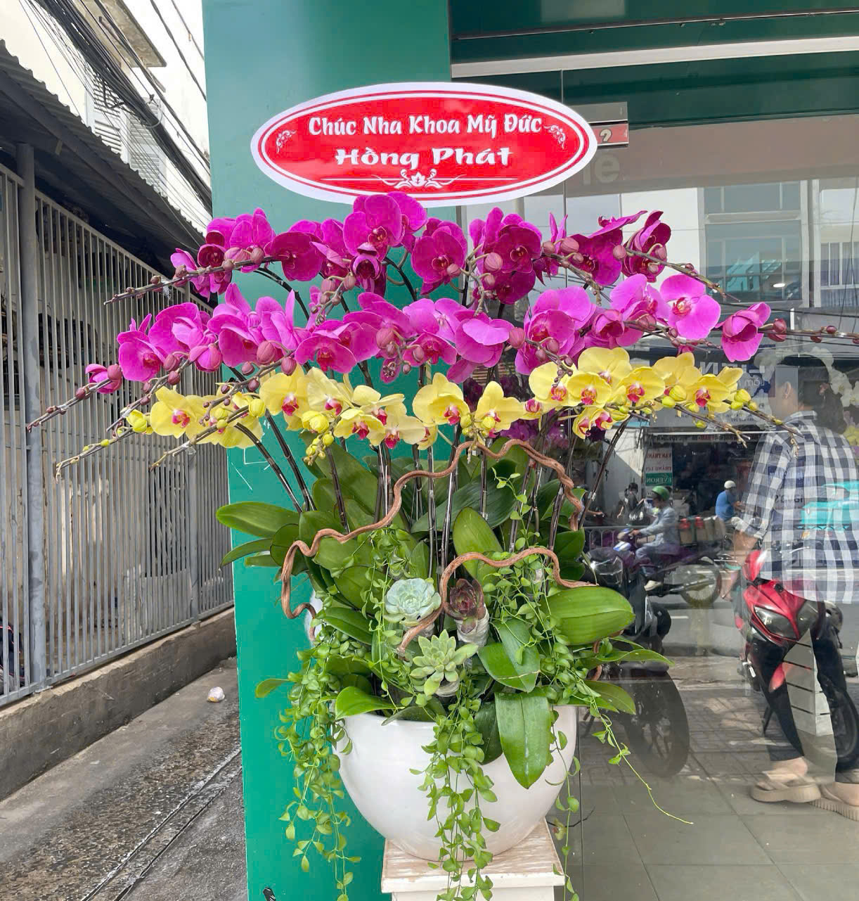 Chậu Lan Hồ Điệp 20 cành mix 3 màu